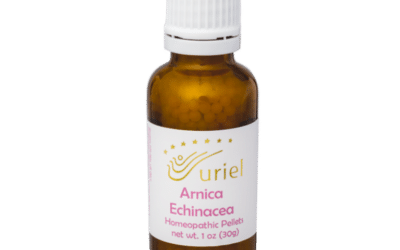 The Healing Benefits of Arnica