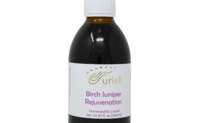 Birch Juniper Rejuvenation Syrup