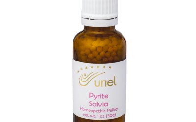 Pyrite Salvia