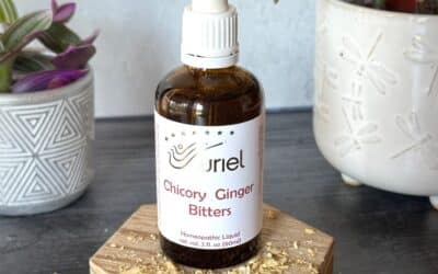 Our Staff Picks: Homeopathic Digestive Remedies