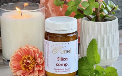 Some of Our Favorite Homeopathic, Natural Skin Care Remedies
