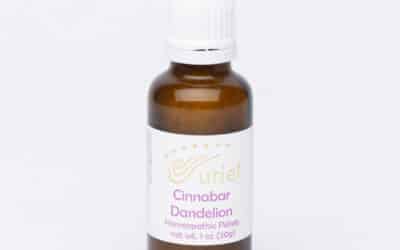 Cold & Flu Remedies: Featuring Our Cinnabar Dandelion Pellets & Archangelica Eucalyptus Ointment