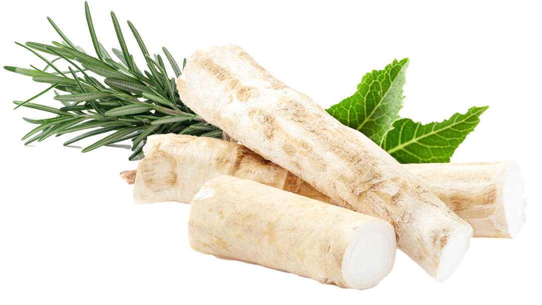 Rosemary Hair Tonic Uriel Pharmacy