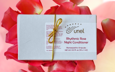 Introducing the new Rhythmic Rose Night Conditioner Ampules