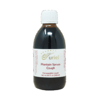 Plantain Spruce Cough Syrup 240ml
