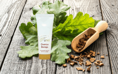 Quercus Borago Ointment and Suppositories